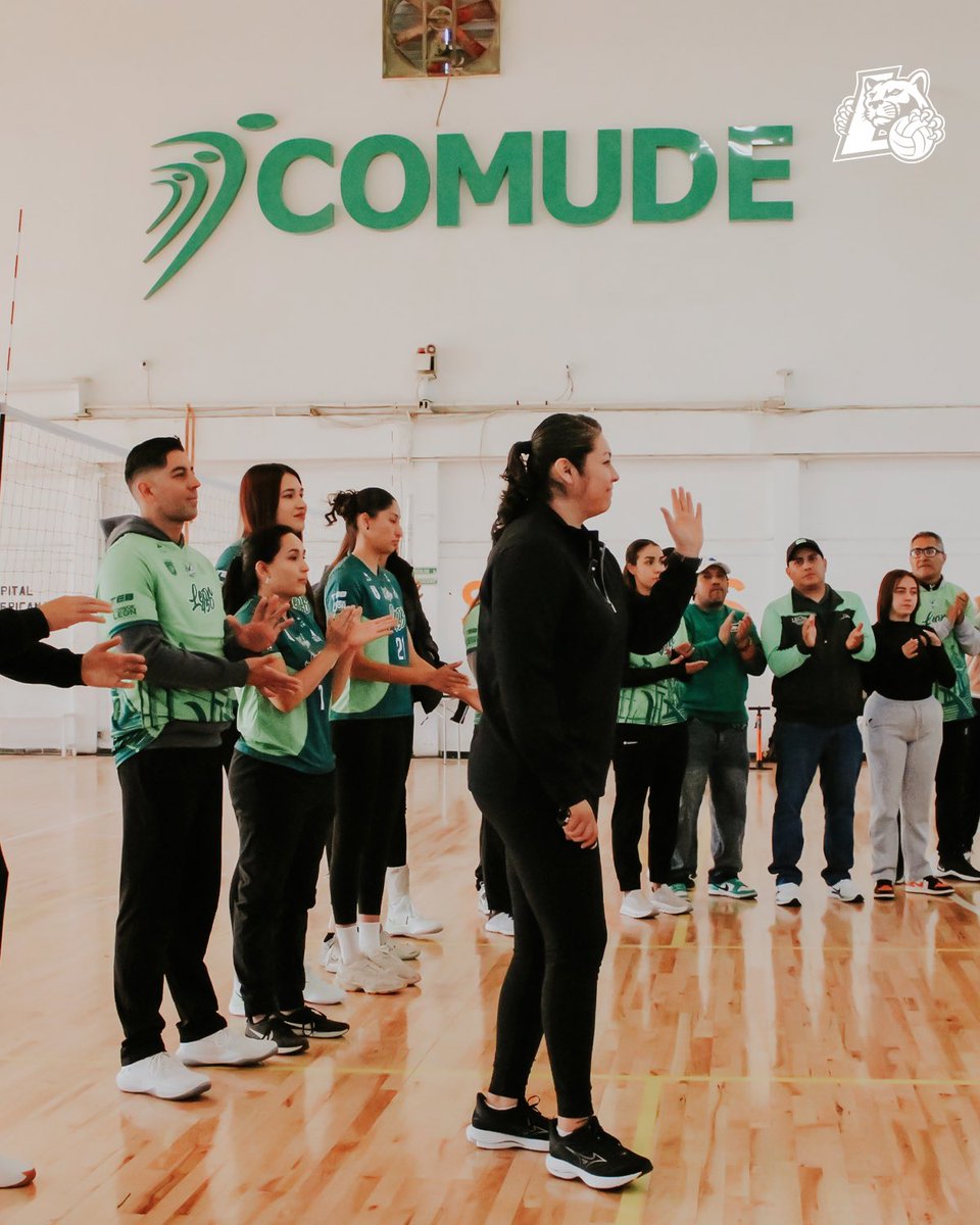 Abejas de León tweet media