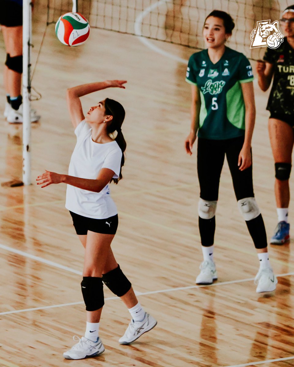 Abejas de León tweet media