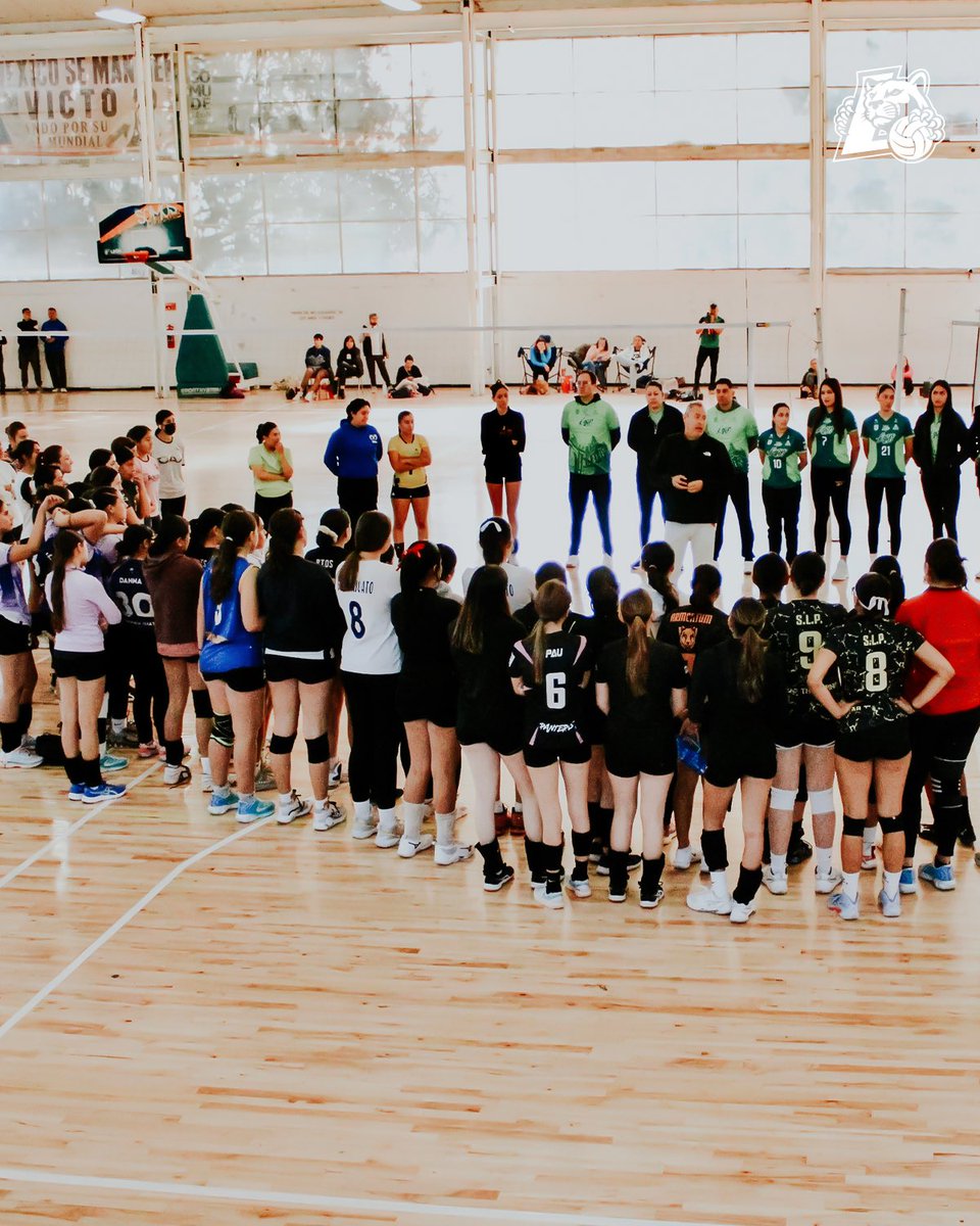 Abejas de León tweet media