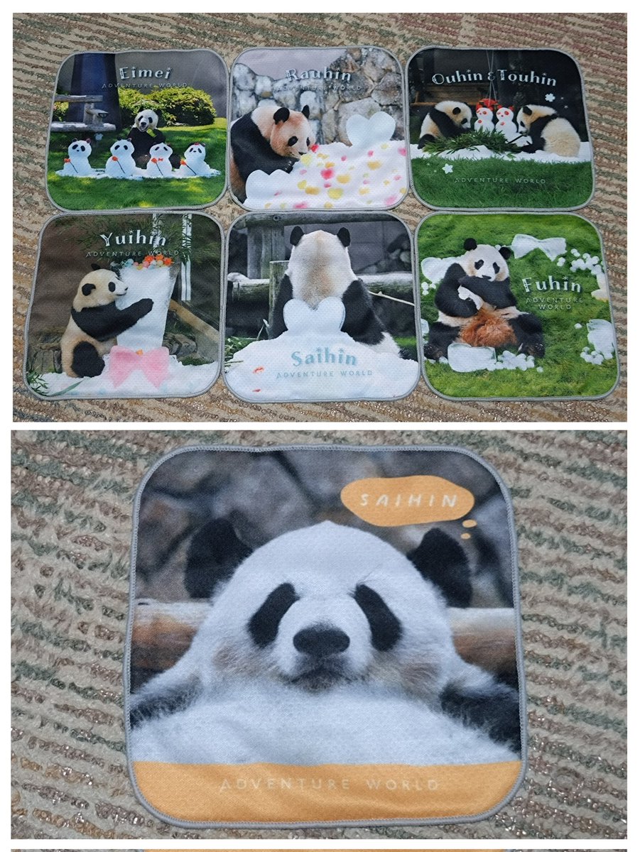 アドベンチャーワールド 先行ガチャ パンダ ミニタオル 6枚