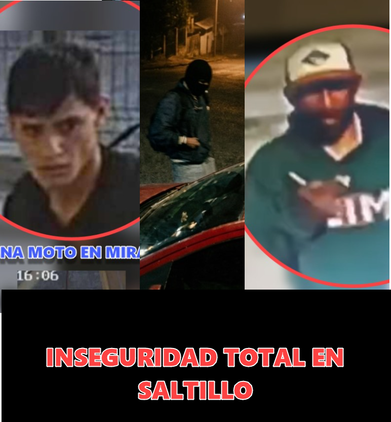 Alerta Saltillenses por ola de robos por toda la ciudad #saltillo

toda la información aqui👇

facebook.com/centinelaRLD