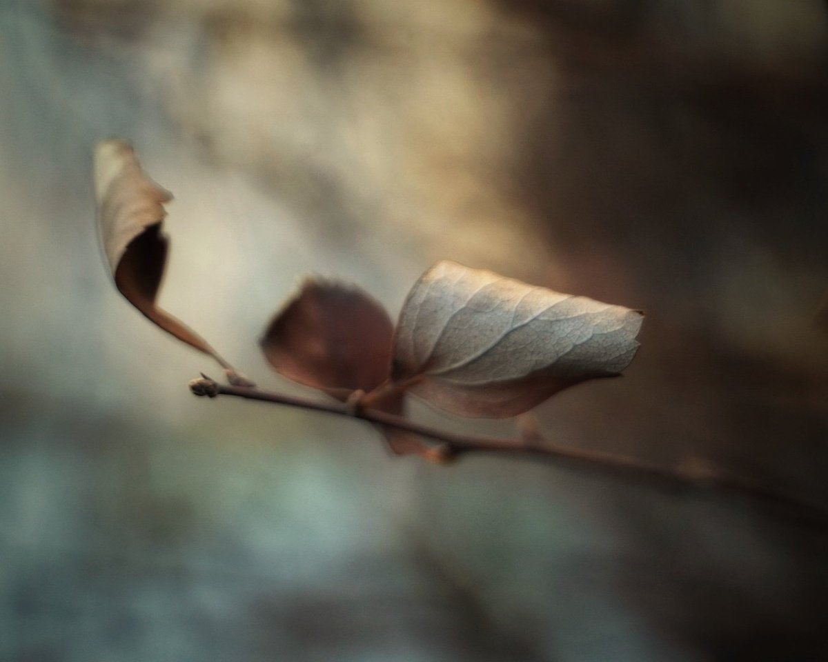 Marek Czartoryski (@markchortsnotes) on Twitter photo 