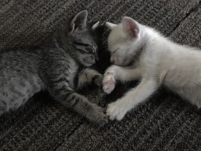 Djancyss's tweet image. Jancy: *broken up*
Also Jancy: