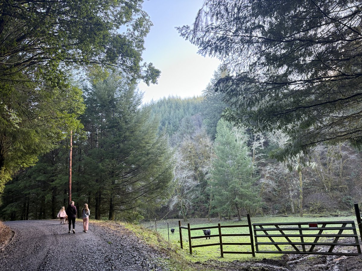 Dale Stark tweet media