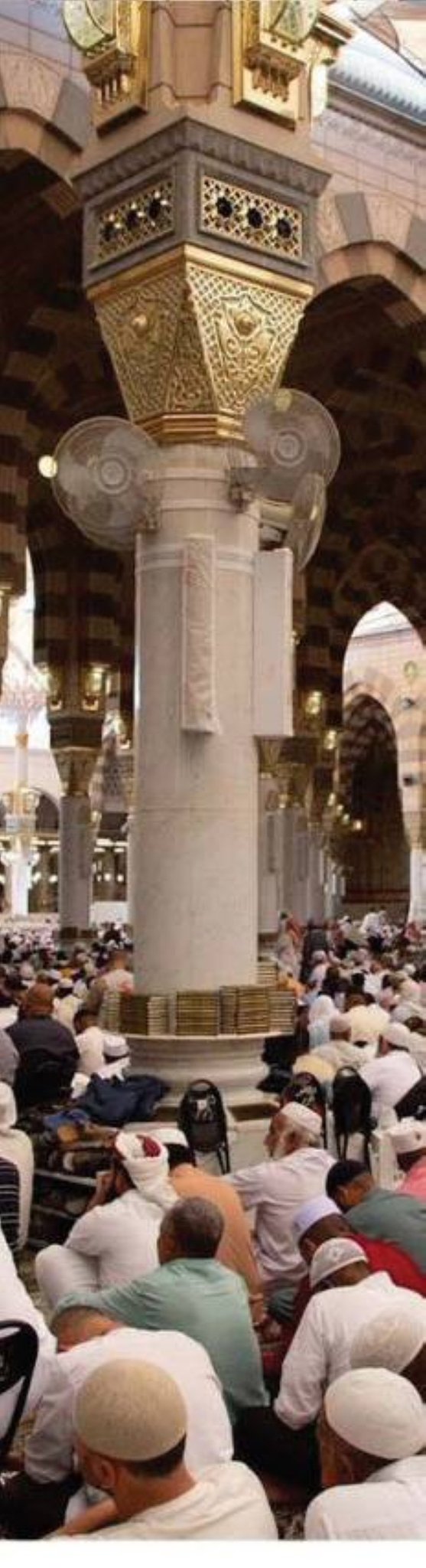 #شتاء_المدينة #روح_المدينة #أﻫﻼً_ﺑﺄﻫﻞ_اﻟﺪار #المدينة_المنورة 