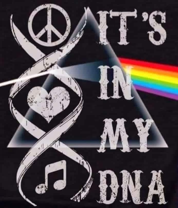 maximumpain333's tweet image. 