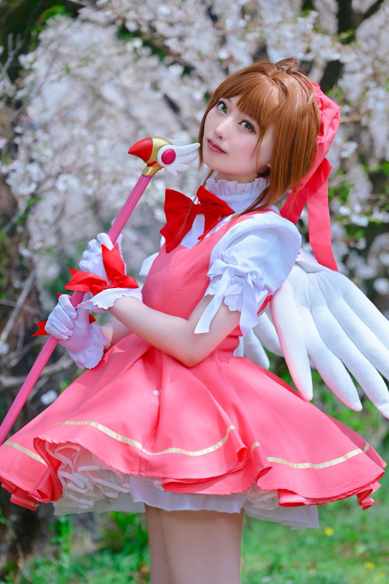 京 蓮叶 2025年自分が選ぶ今年の4枚