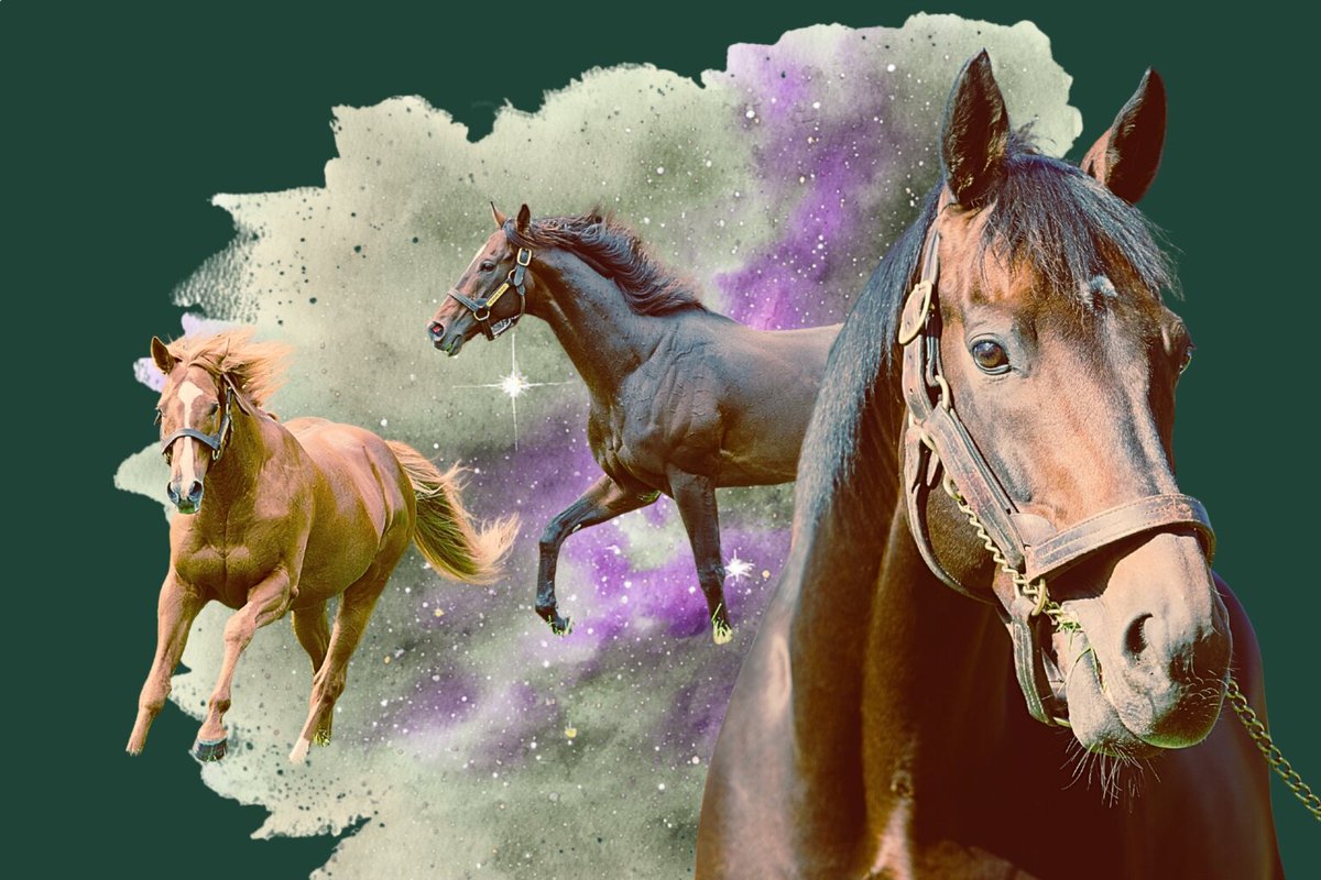 オルフェーヴル・ディープインパクト・キタサンブラックとイク