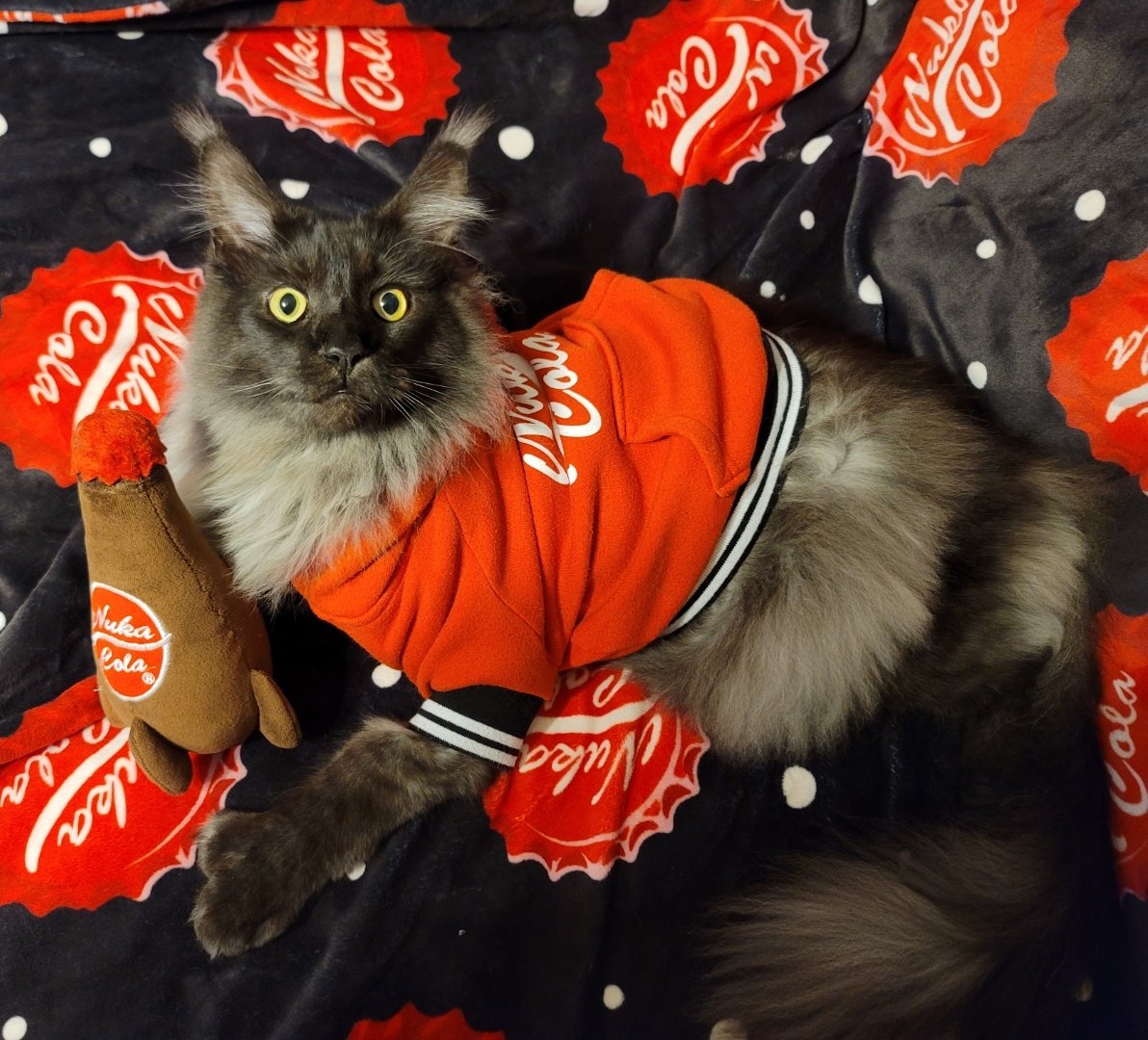 Miss Atomic tweet media