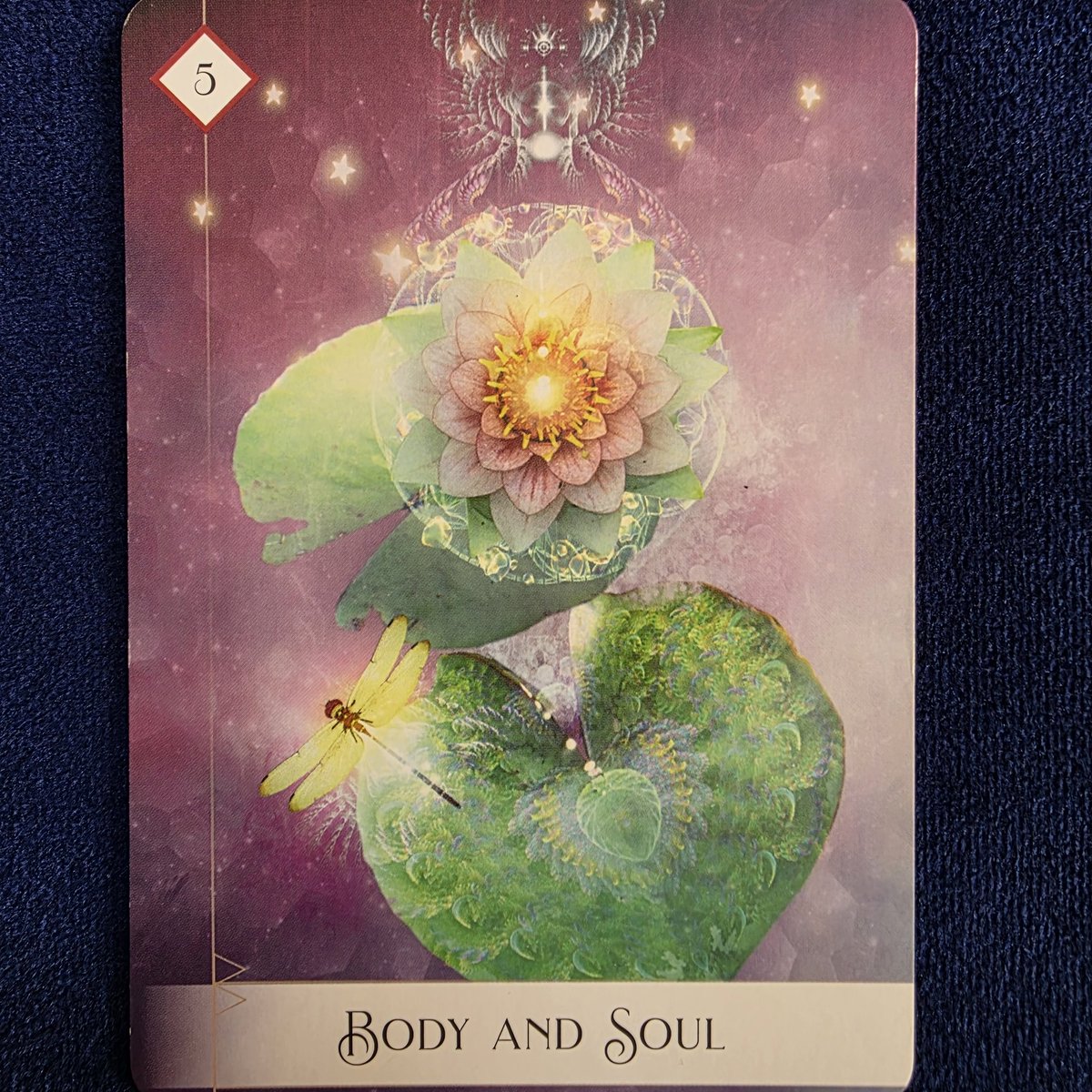 🌈ワンオラクル🌈

体と魂

2025年も後わずかです
どうぞ体　心　魂を
大切にケアをして下さい
生きていれば
喜び　怒り　哀しみ　楽しさ
寂しさ　焦り　緊張　疲労
数知れずの感情に対応しています
今年もとても頑張りました
御自身を大切にして下さい

とメッセージが届きました💖

素敵な1日を🍀