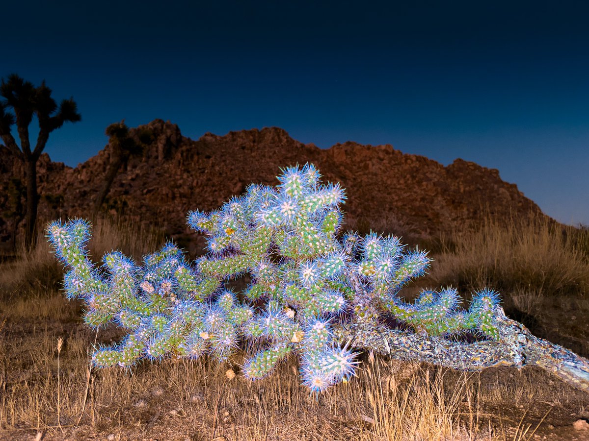 maxkarlan's tweet image. one of the hardest photos i have ever taken