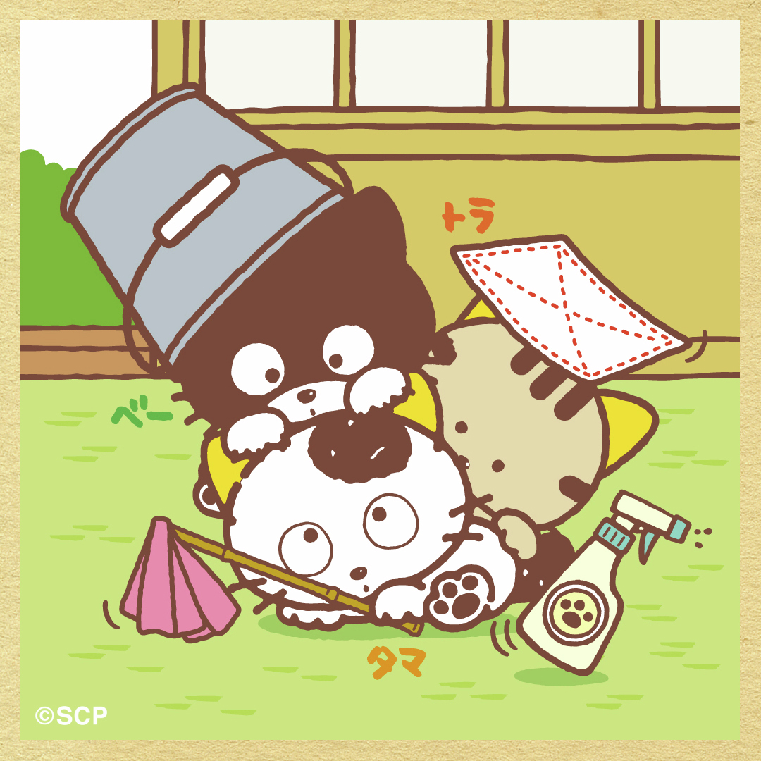 2025年12月28日、大掃除。 #三丁目のタマ #うちのタマ知りませんか