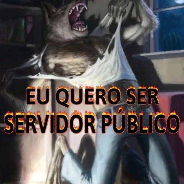 Bequinha tweet media