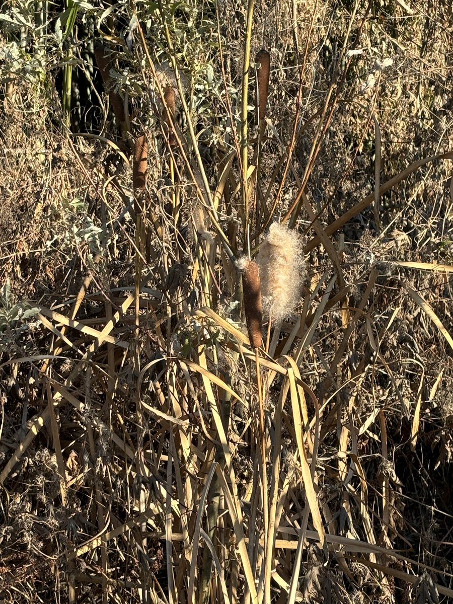おはようございます✨
