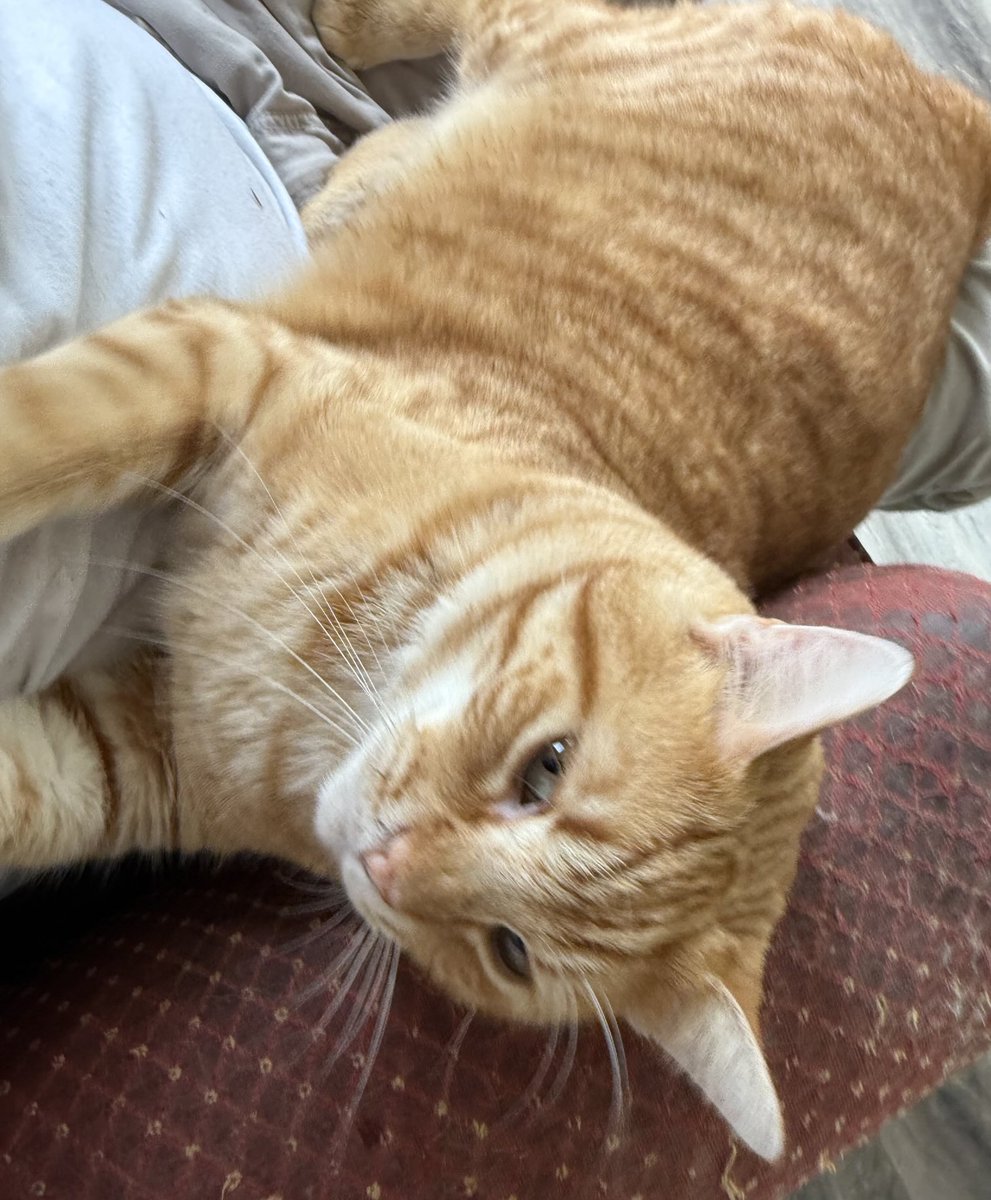 shannonminter5's tweet image. Love you Dad