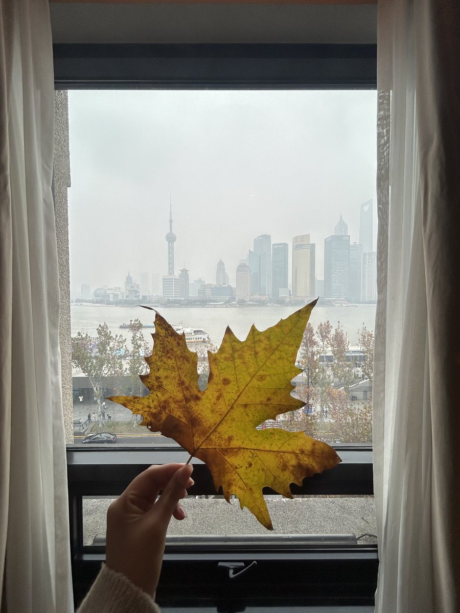 某聪明的小小朋友 tweet media