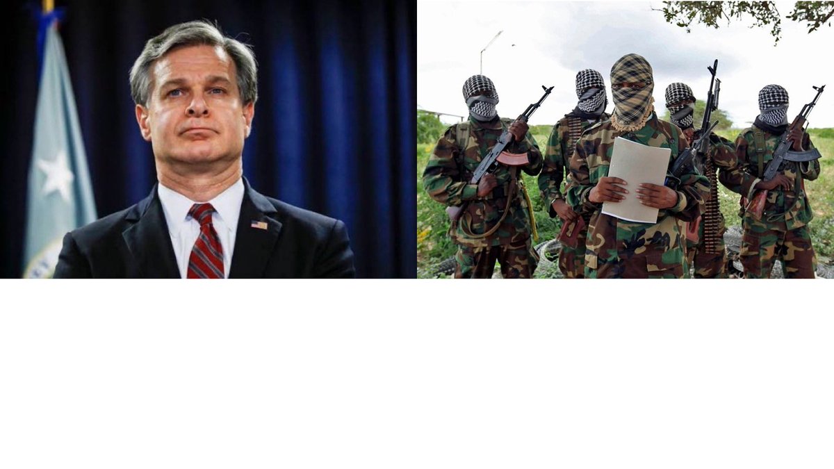 Chris Wray had 13% of all FBI employees working on Jan 6 cases.

5,000 out of 38,000.

Hunting people down all over America that were just in DC on Jan 6th.

While Somalians in Minnesota were sending billions in stolen taxpayer $ to terrorists Al Shabaab in Somalia.

Treasonous.