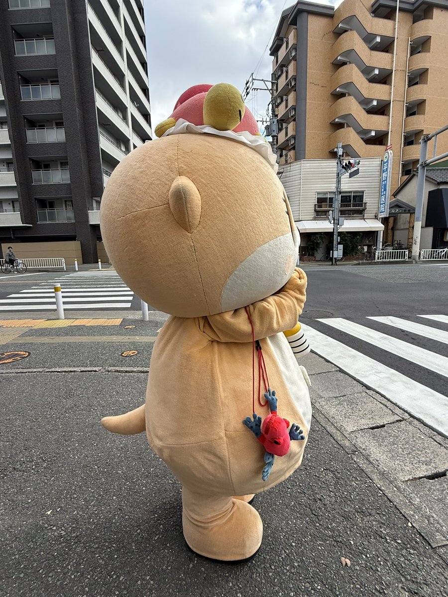 のいず☆次はわかりません (@TokyoChiitan) / Posts / X