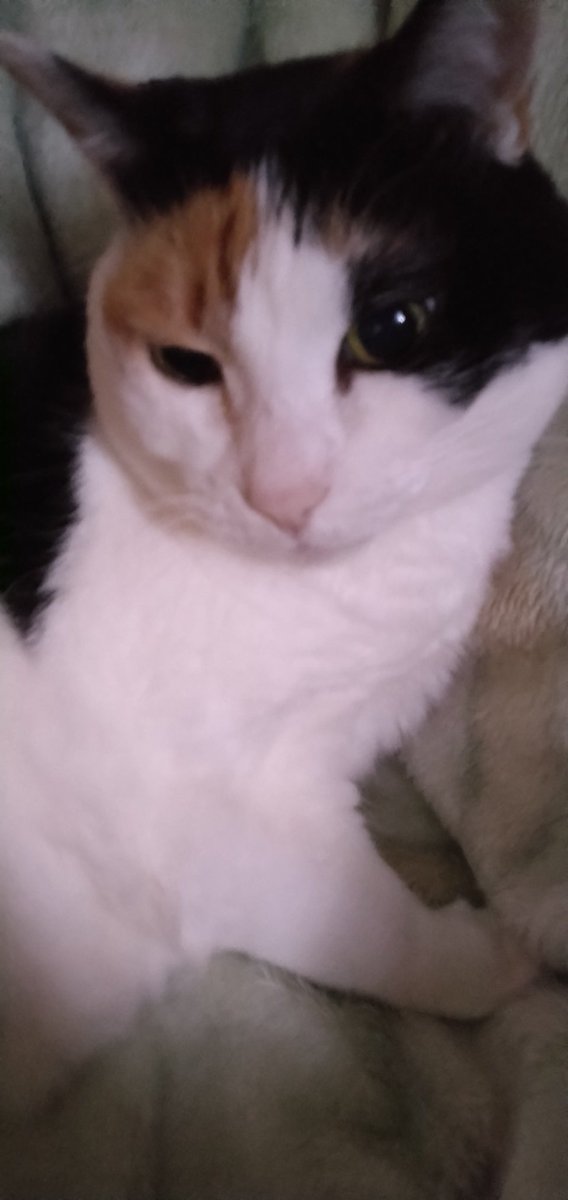 ちーぱ (@hollyflower0910) / Posts / X