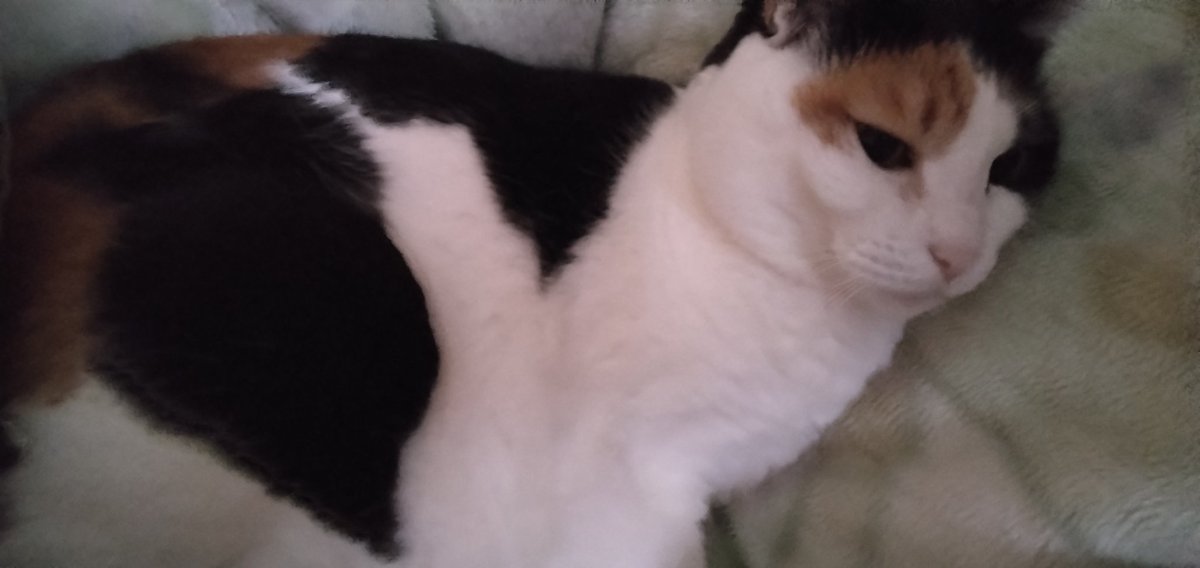 ちーぱ (@hollyflower0910) / Posts / X