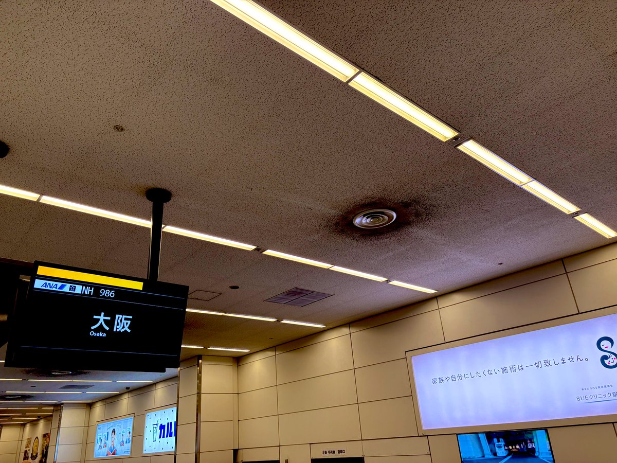 katori_online's tweet image. おじゃましまんもすぱおん🐘

ぱおおおおおおおおおーん🐘🐘🐘　🎍🐘

手荷物預けカウンター🧳えぐいです(◜ᴗ◝ )

#arrival #HND