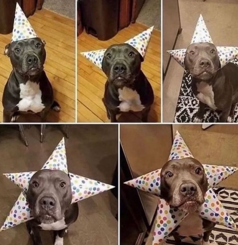 La estrella que más reluce en navidad ❤️