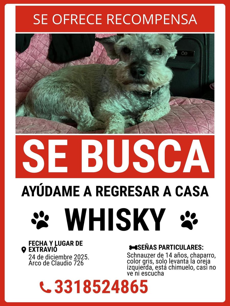 adoptagdl's tweet image. #EXTRAVIADO #RT 🙏🏼