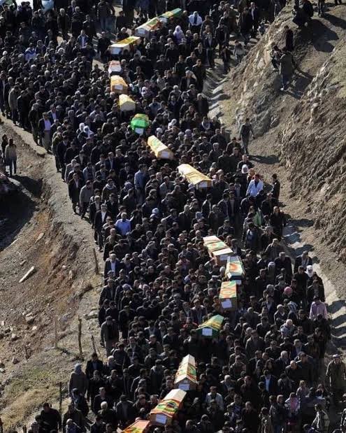 Em tu cara birnekin 
#Roboski