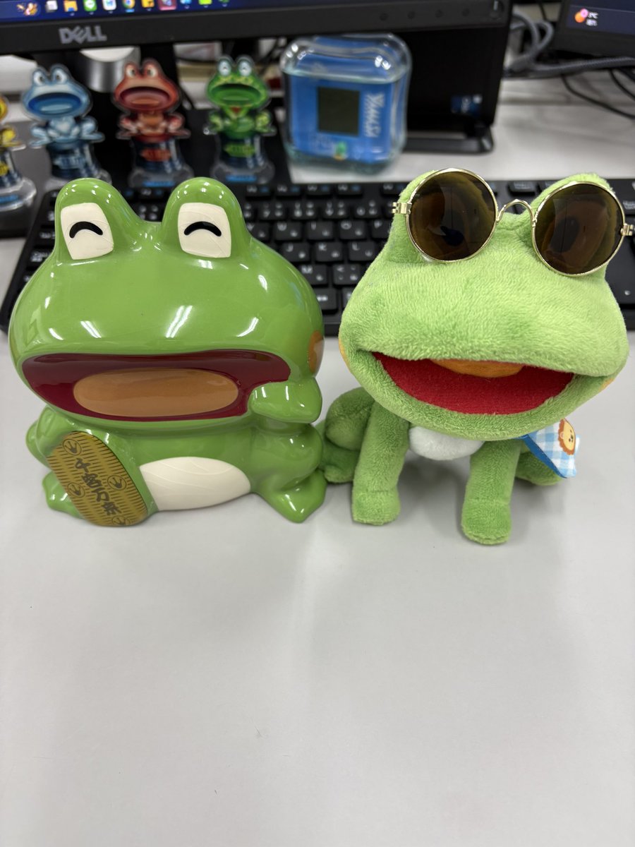 まりも🐸💚 (@maruhan_marimo) / Posts / X