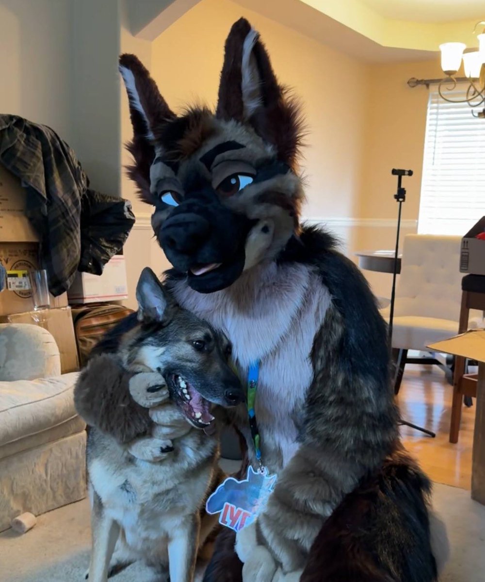 lycan da shep ⚙️ tweet media