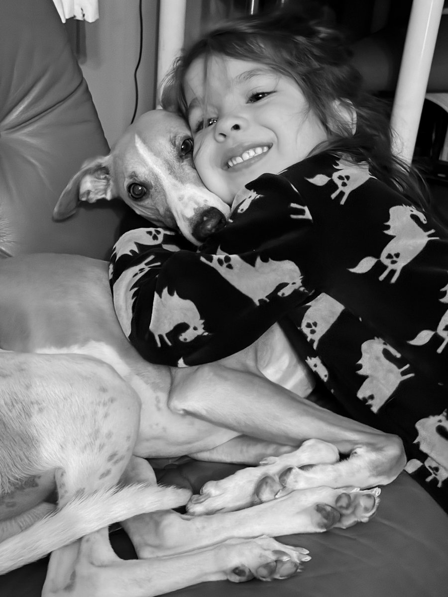 JessicaOpaker's tweet photo. For the fourth day of Christmas I give cuteness overload. https://t.co/YBuKiumH21