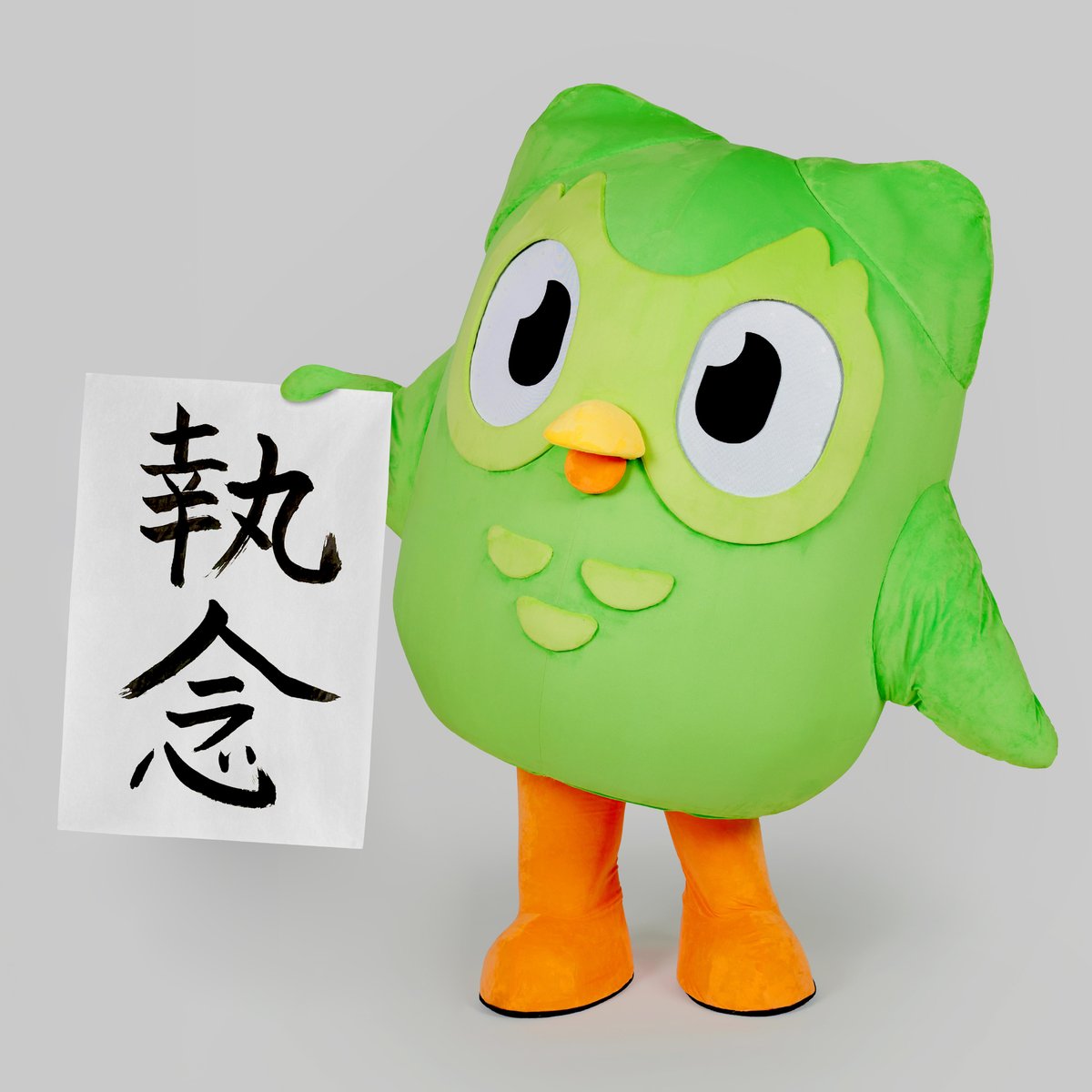 Duolingo(デュオリンゴ) | 日本公式🇯🇵 (@Duolingo_Japan) / Posts / X