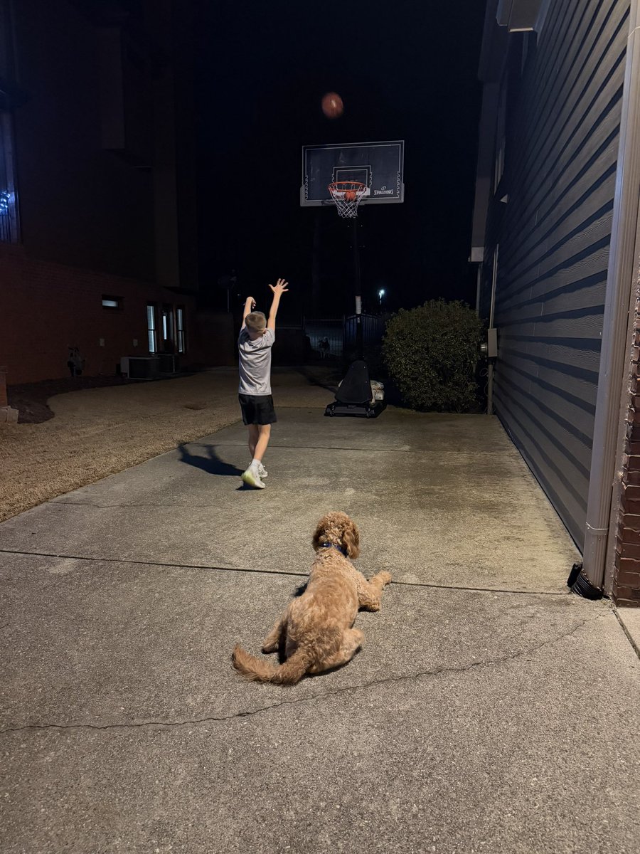 Bo Brison tweet media