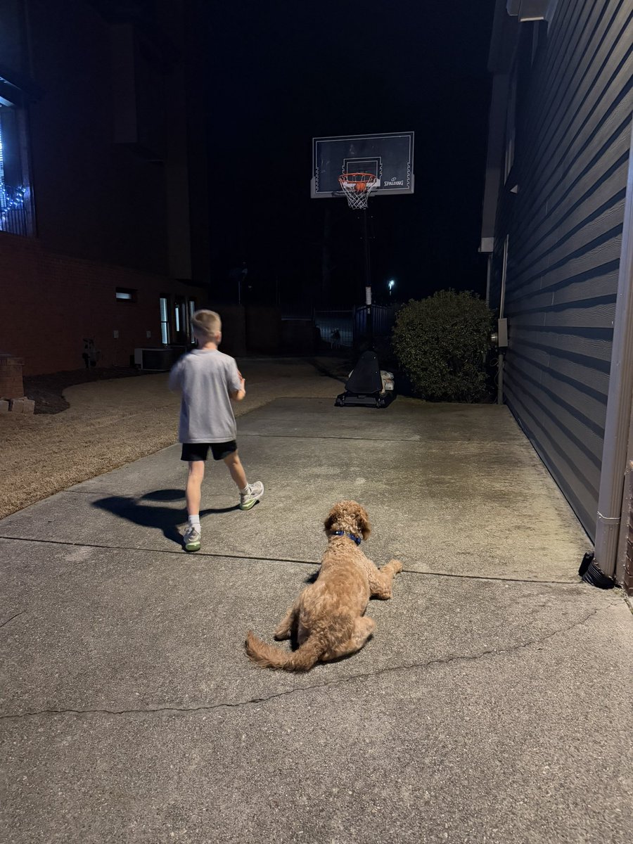 Bo Brison tweet media