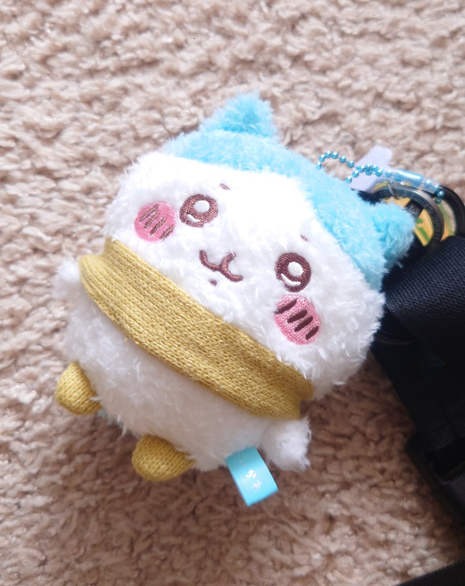 本日ワタクシの誕生日🎂
この子と映画を見に行きます
今年は目標であったシャツワンピの通販ができて良かった〜✌
来年も出来るよう頑張るぞ〜！✨