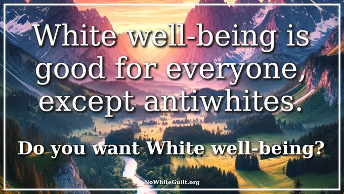 BiospiritWest's tweet image. That's because the legacy media is antiwhite.

Nick Shirley cares about ending the victimization and harm being inflicted on Westernkind. 🤍