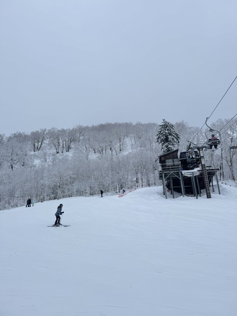 Nomadito 🏴‍☠️ tweet media