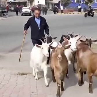 भावुक~~The Emotional🕉️ tweet media