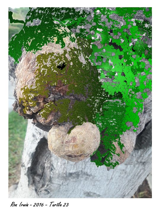 Art of the Day! "Turtle". Buy at: ArtPal.com/drcommunicator…