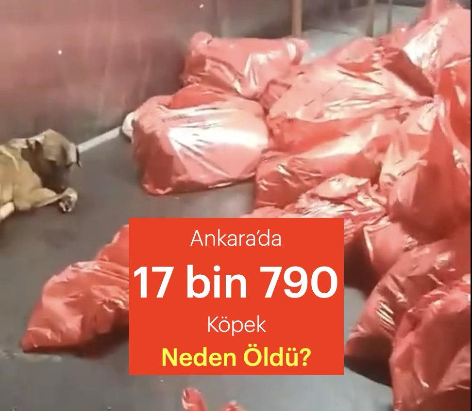 Ankara’da 17 bin 790 Köpek
Neden Öldü <a href="/ankarabbld/">Ankara Büyükşehir</a> ?