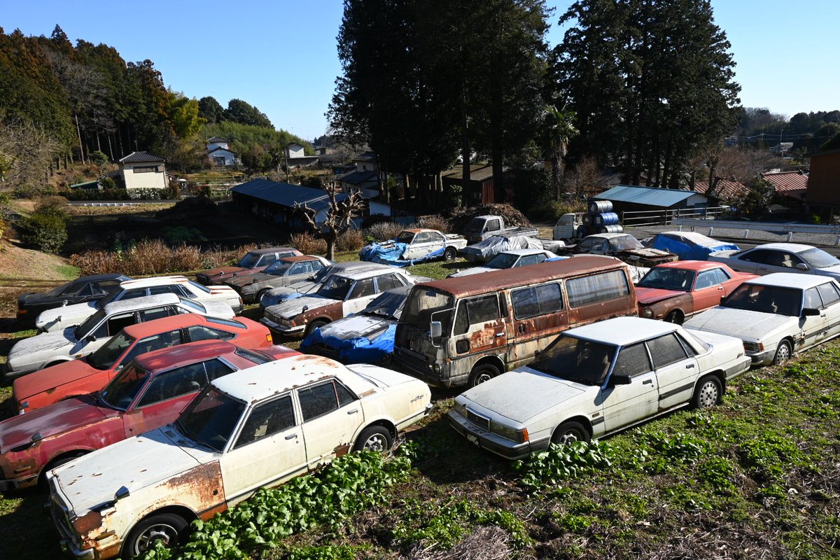 ゆぅ (@auto5cmf2) / Posts / X