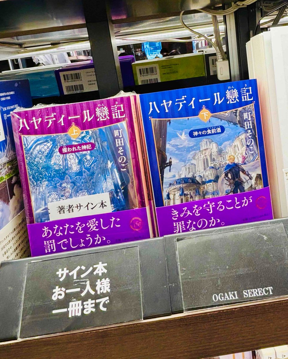 8月末までセール【天上都市、大田原】Alayna Danner先生 装飾サイン入 文】 町田そのこ先生の最新刊『ハヤディール戀記 上・下』巻【上巻】の