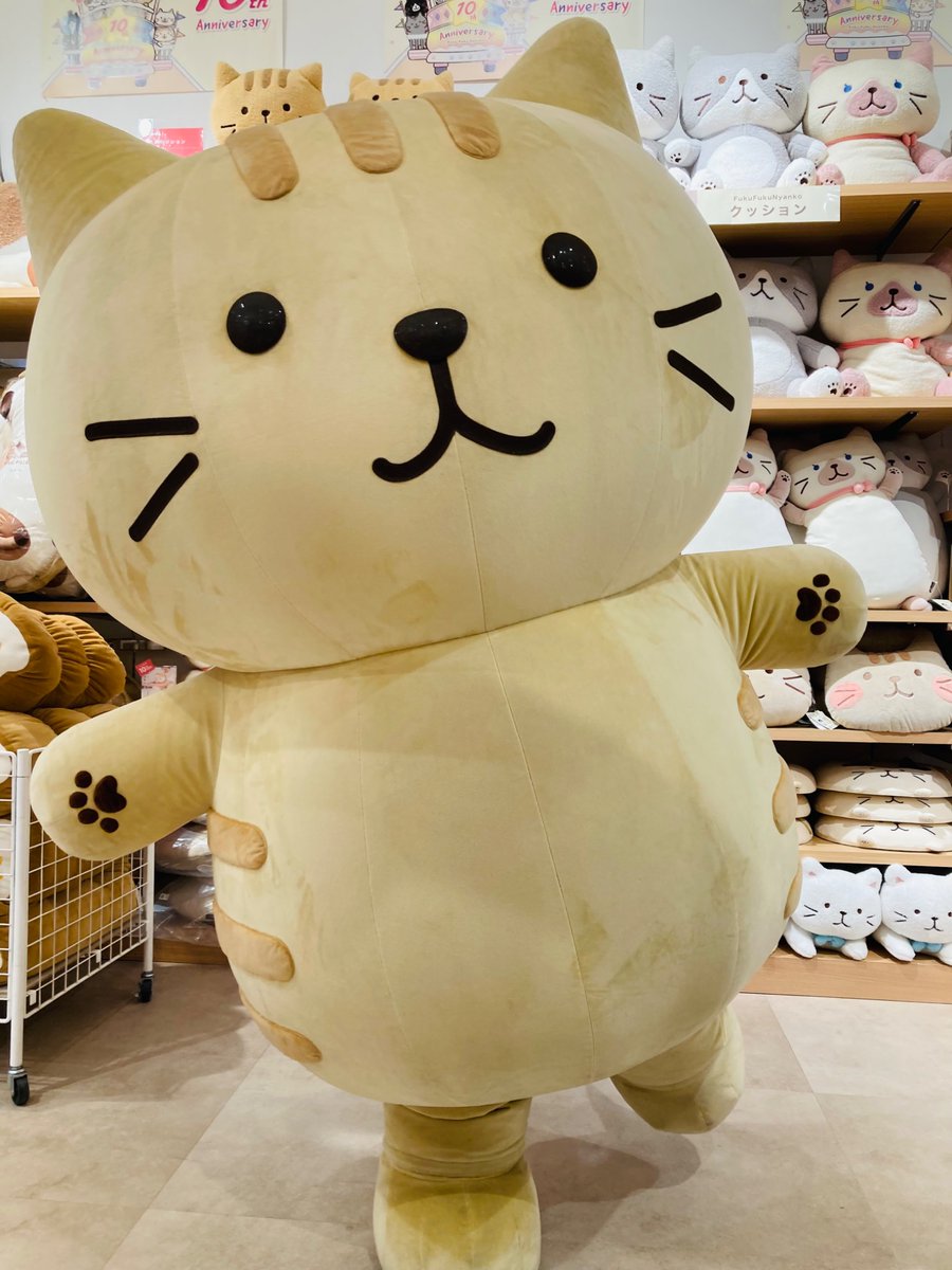 チャチャ丸〜🎵 何が好き？ もちろん大好き… たい焼きにゃ〜♡ 🎪SHOP