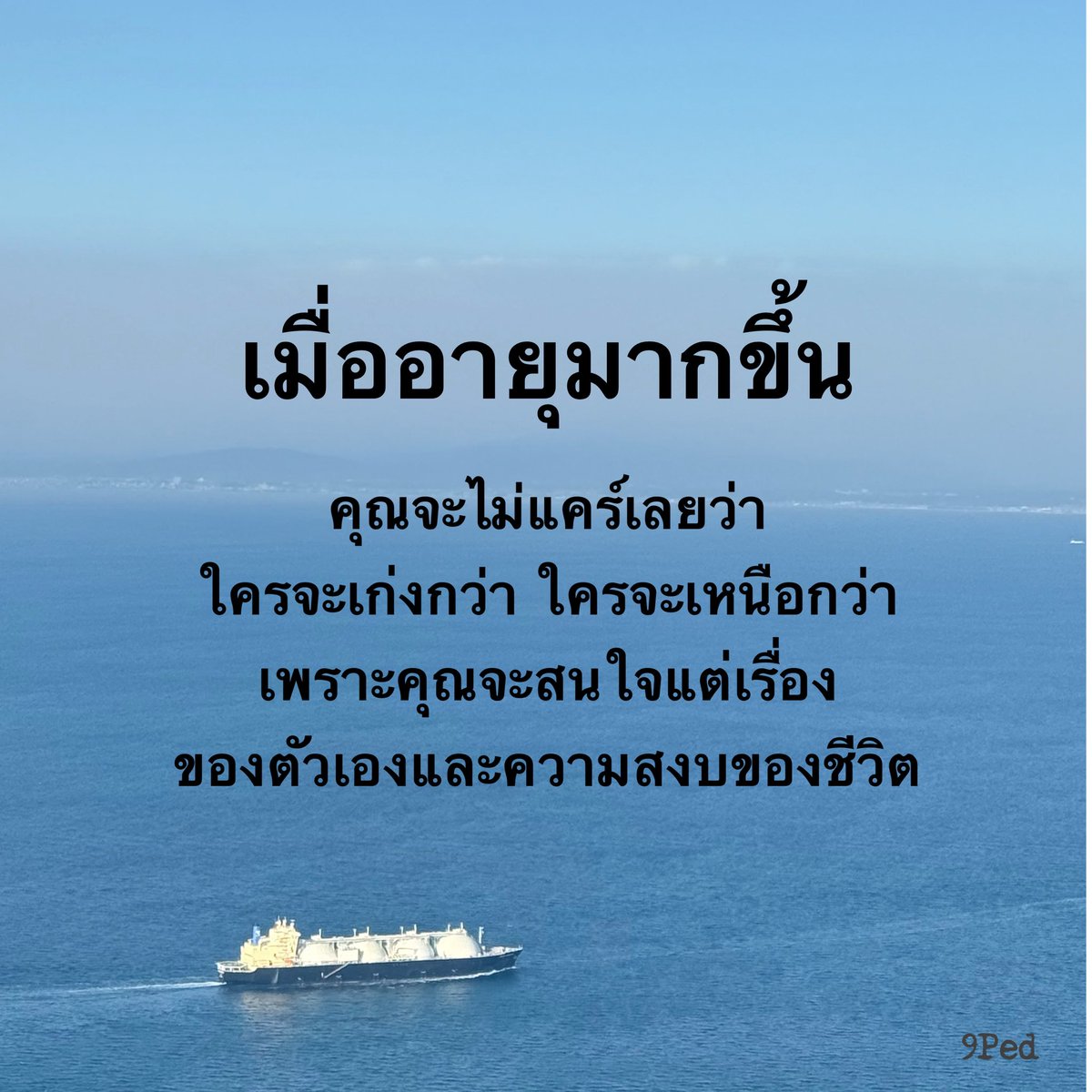 นายเป็ด tweet media