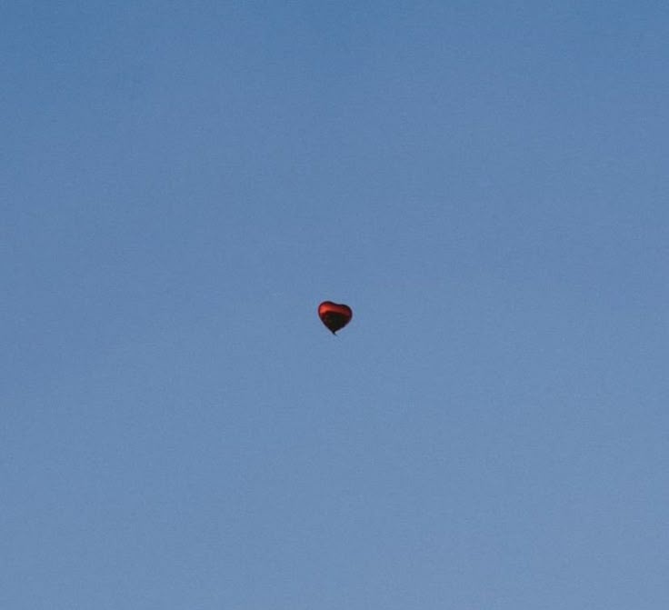 mica ໑̣ ARGENBRINAA tweet media