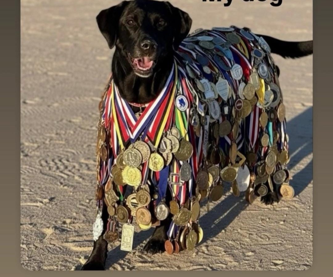 its_me_zoomketu tweet media