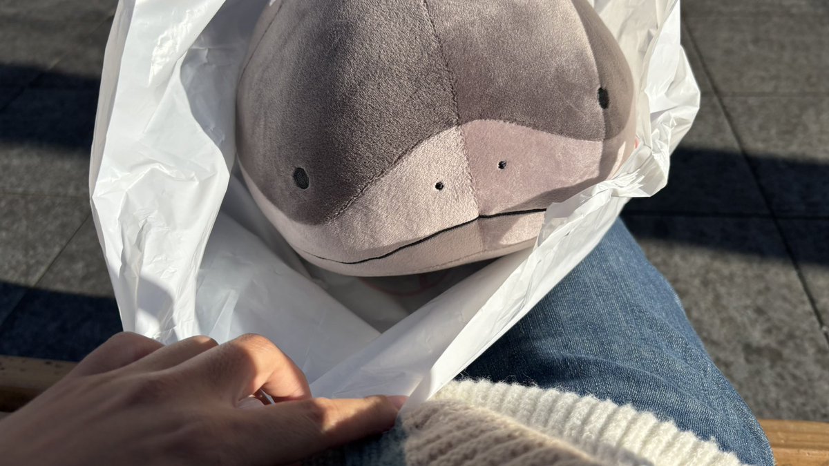 たまたま入ったゲーセンで200円で取れちゃったドォー