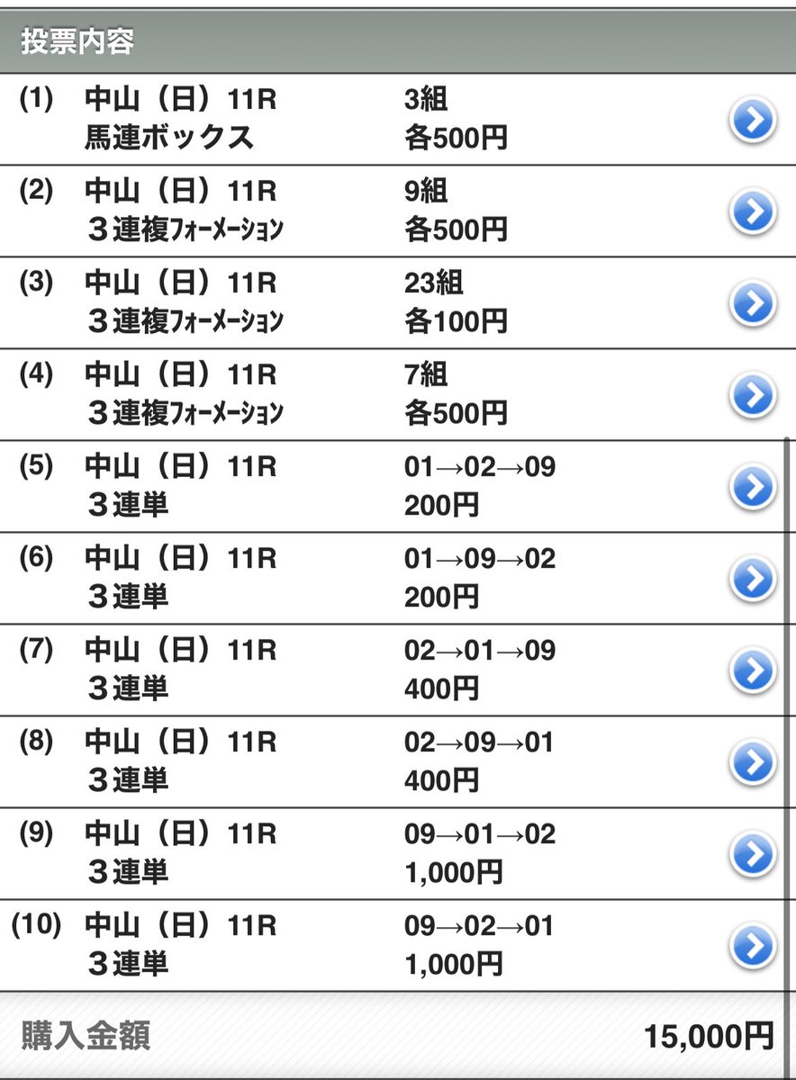 有馬記念買いました ダノンデサイルからシンエンペラー、エキサイト