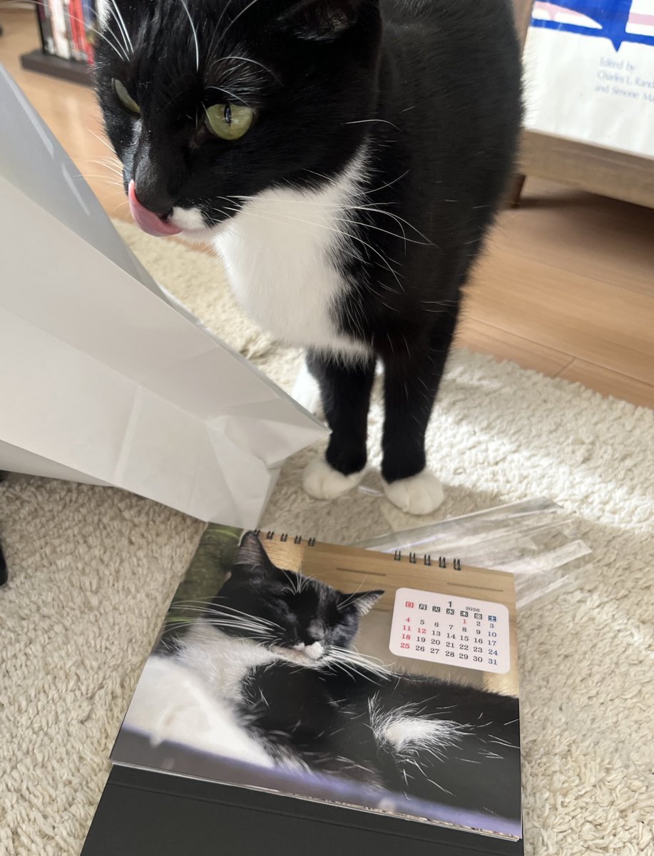 原田彩香 tweet media