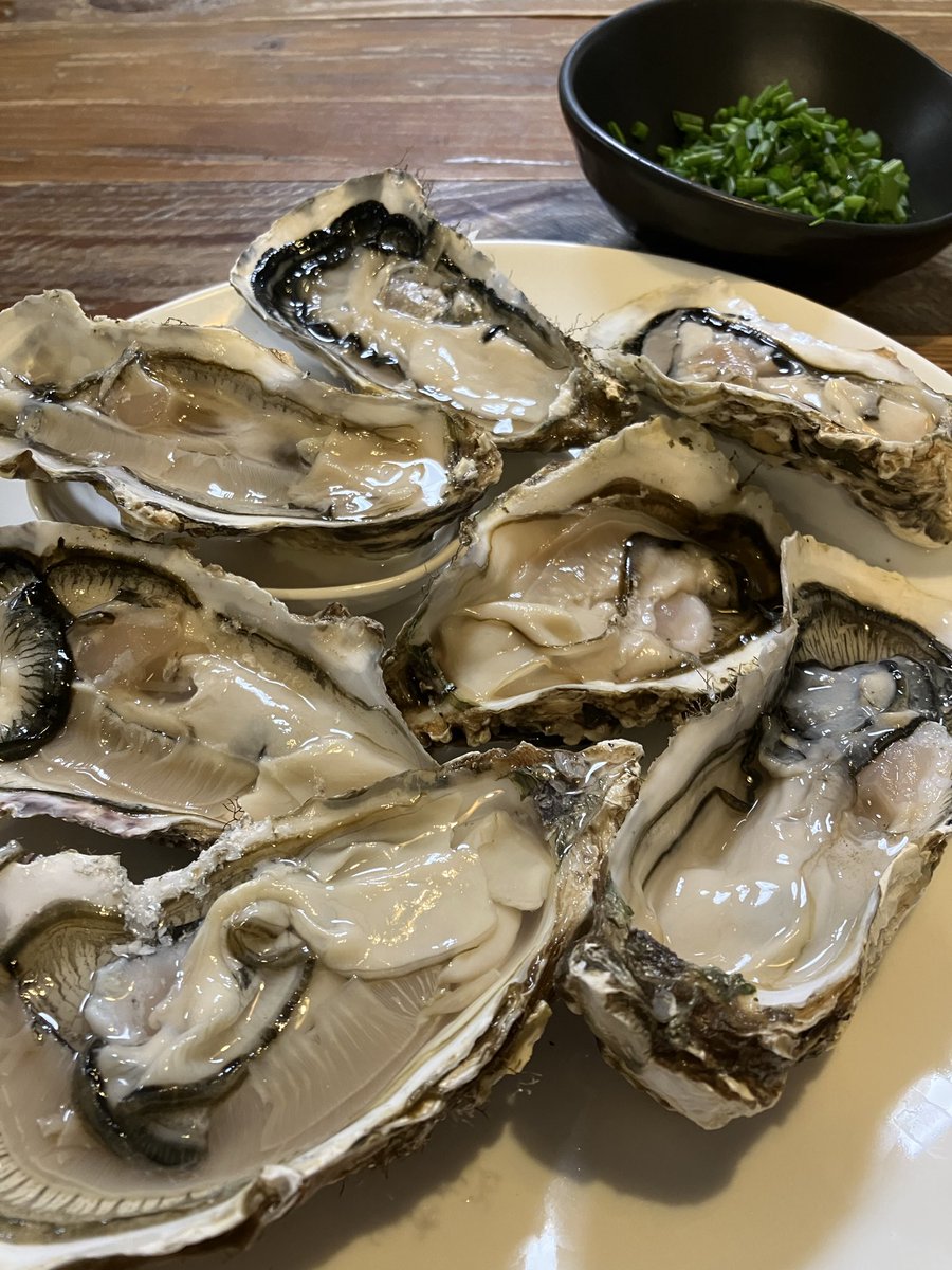 munie0306's tweet photo. ワンストップ特例申請、完了！
2025年も満足度高かったのはサロマ湖の牡蠣でした…🦪✨ https://t.co/IJ1v4NwCbE